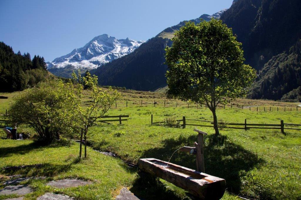 Appartamento Neuhaushof Hollersbach im Pinzgau Esterno foto