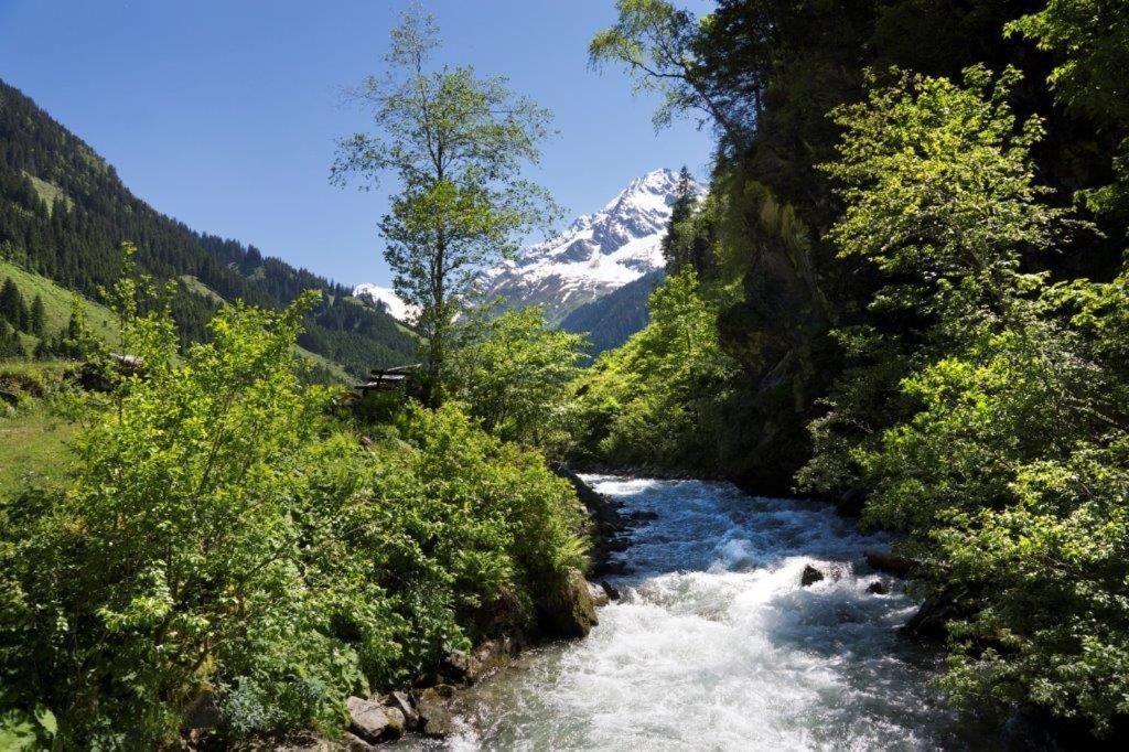 Appartamento Neuhaushof Hollersbach im Pinzgau Esterno foto