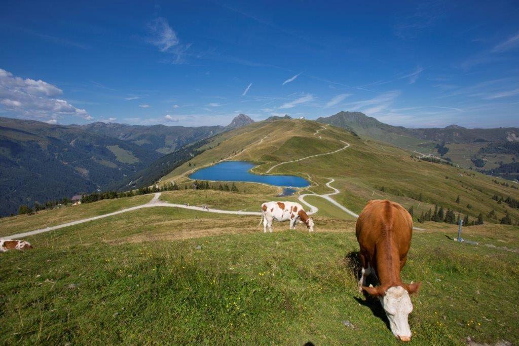 Appartamento Neuhaushof Hollersbach im Pinzgau Esterno foto